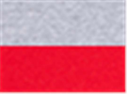 Sport Grey/ Red