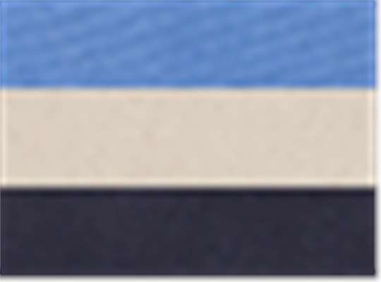 Navy/ Natural/ Carolina Blue