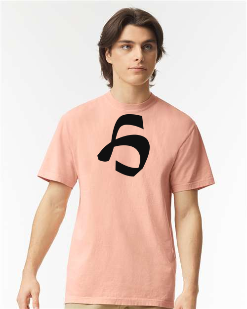 Alphabet H T-Shirt 9 inch calligraphy White ink, Peachy