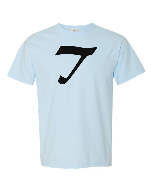 Alphabet T T-Shirt 9 inch calligraphy Black ink, Chambray