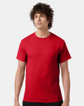 Champion T425, Unisex Classic T-shirt, Ash
