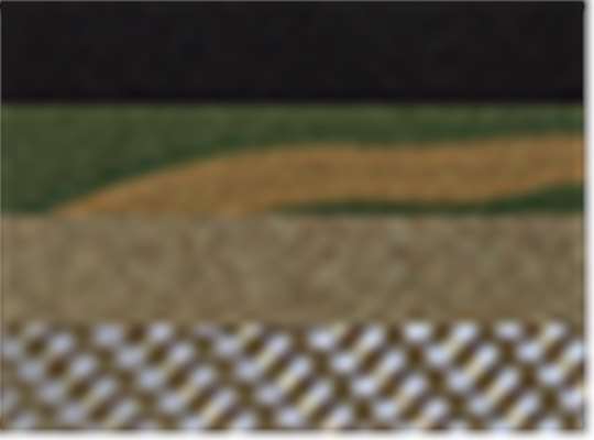 Black/ Camo/ Loden