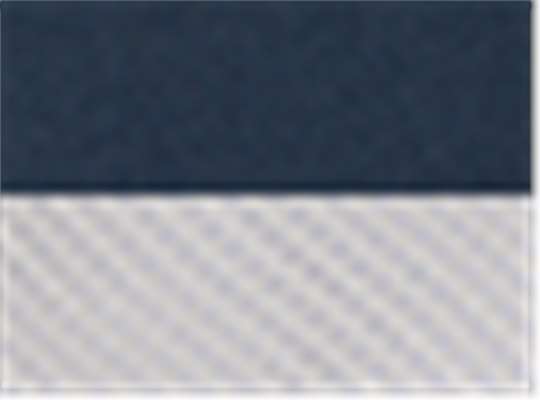 Navy/ Silver