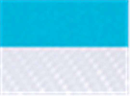 Turquoise/ White