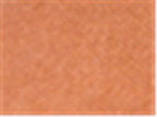 Valucap 6854, Sp500, Texas Orange