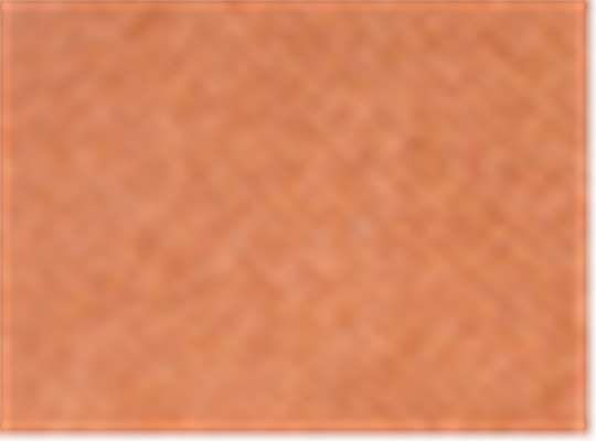 Valucap 6854, Sp500, Texas Orange