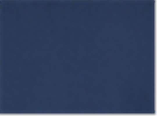 Collegiate Navy