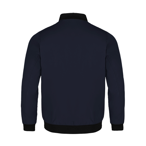 CX2-L02130 item in Navy