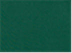 Adidas A231, Women's Performance Polo, Collegiate Green