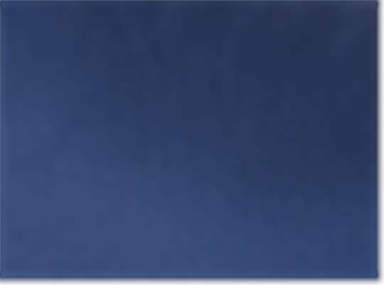 Team Navy Blue