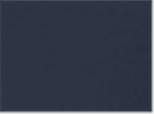 Champion S700, Unisex Powerblend Hooded Sweatshirt, Navy