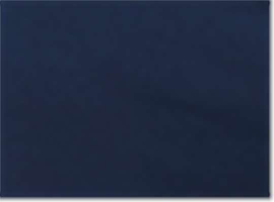 Team Navy