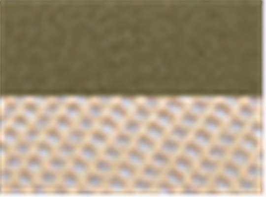 Moss Green/ Khaki