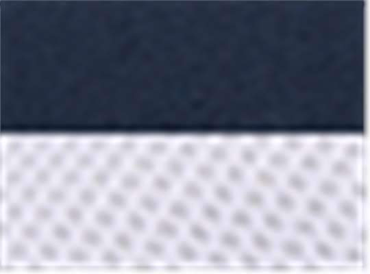 Navy/ White