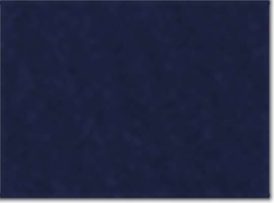 Collegiate Navy