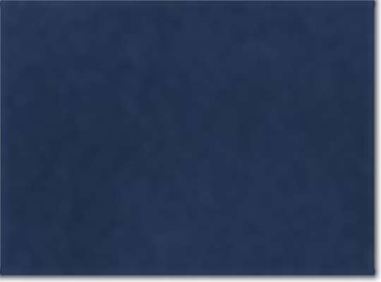 Collegiate Navy