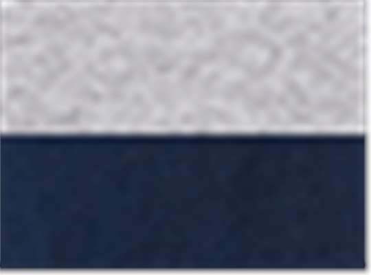 Sport Grey/ Navy