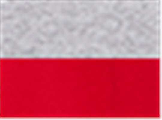 Sport Grey/ Red