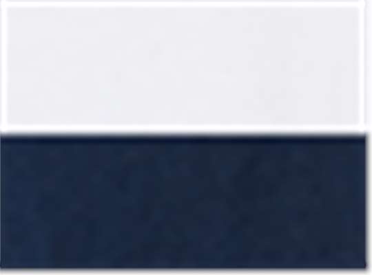White/ Navy
