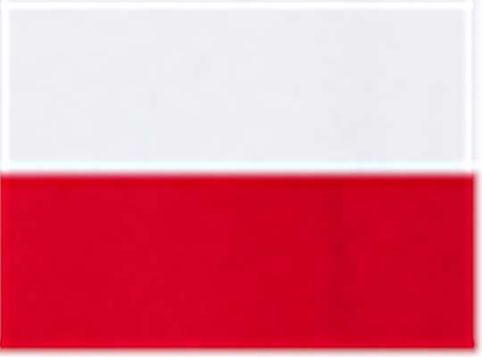 White/ Red