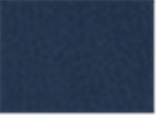 Bright Navy