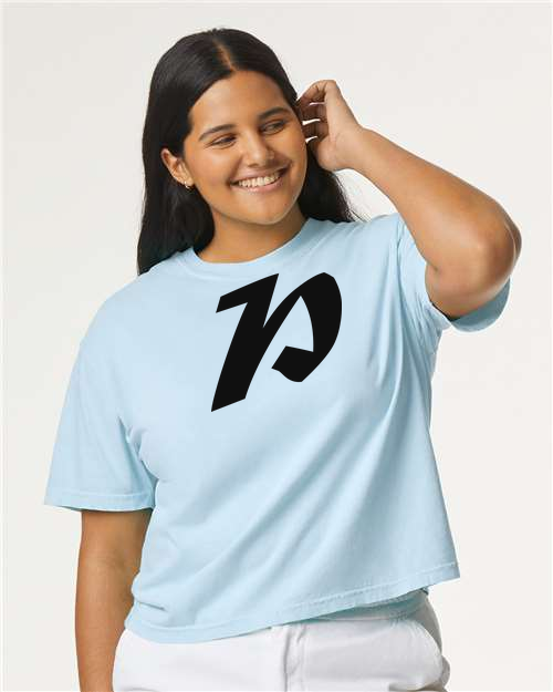 Alphabet P T-Shirt 9 inch calligraphy Black ink, Chambray