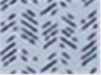Adidas A702, Men's Blended Printed Polo, Blue Dawn Melange