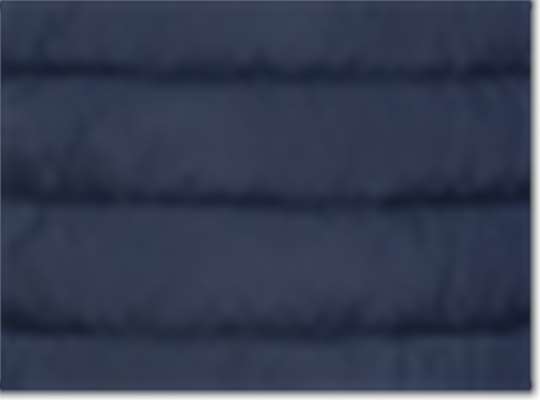 Columbia 212491, Men's Powder Lite Ii Vest, Collegiate Navy