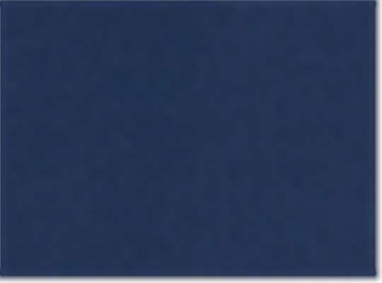 Collegiate Navy