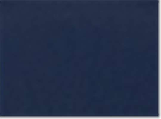 Columbia 212467, Men's Pfg Tamiami Ii Shirt, Collegiate Navy