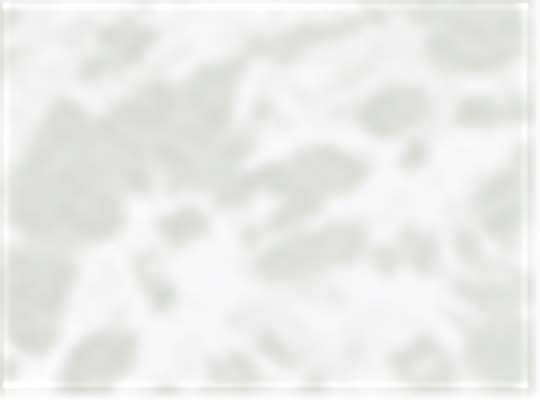 Rabbit Skins 3321EX, T-Shirts - Premium, Haze Tie Dye