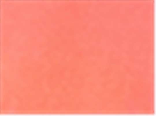 Neon Red Orange