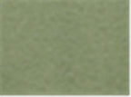 American Apparel 6388, Tr401, Tri-Olive
