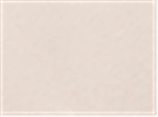 American Apparel 11690, Rf497, Bone