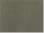 American Apparel 11690, Rf497, Lieutenant