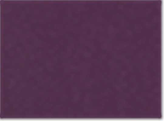 American Apparel 6364, 2001, Eggplant