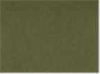 American Apparel 6364, 2001, Olive
