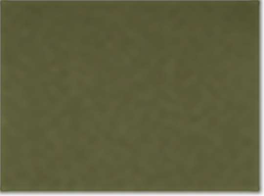American Apparel 6364, 2001, Olive