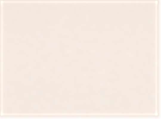 American Apparel 1301, T-Shirts - Premium, Cream