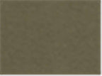 American Apparel 1301, T-Shirts - Premium, Military Green