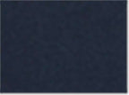 American Apparel 8169, 1304, True Navy