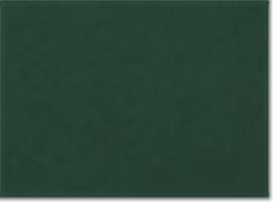 Next Level 3600, T-Shirts - Premium, Forest Green