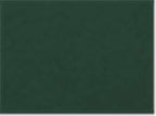 Next Level 3601, T-Shirts - Long Sleeve, Forest Green