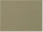 Next Level 7211, T-Shirts - Long Sleeve, Light Olive