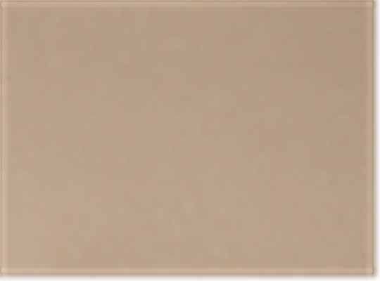 Next Level 7211, T-Shirts - Long Sleeve, Tan