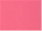 Next Level 1533, T-Shirts - Premium, Hot Pink