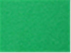 Next Level 6211, T-Shirts - Long Sleeve, Kelly Green