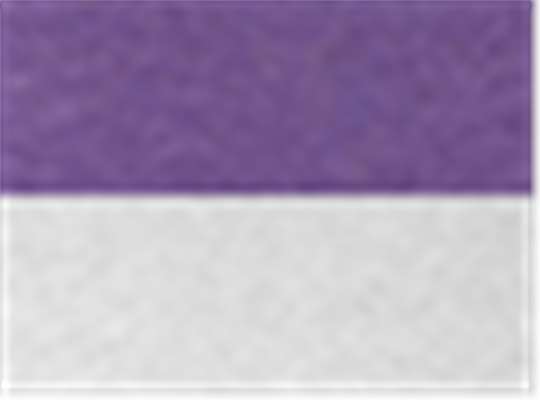 Purple Rush Sleeves/ Heather White Body