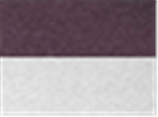 Next Level 6051, T-Shirts - Premium, Vintage Purple Sleeves/ Heather White Body