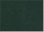 Champion T425, Unisex Classic T-shirt, Dark Green